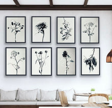 Load image into Gallery viewer, Oak

