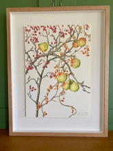 Load image into Gallery viewer, Hawthorn Hedgerow

