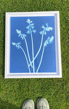 Load image into Gallery viewer, Bluebells II
