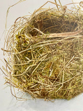 Load image into Gallery viewer, Nest my Neighbour Found

