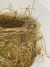 Load image into Gallery viewer, Nest my Neighbour Found
