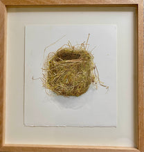 Load image into Gallery viewer, Nest my Neighbour Found
