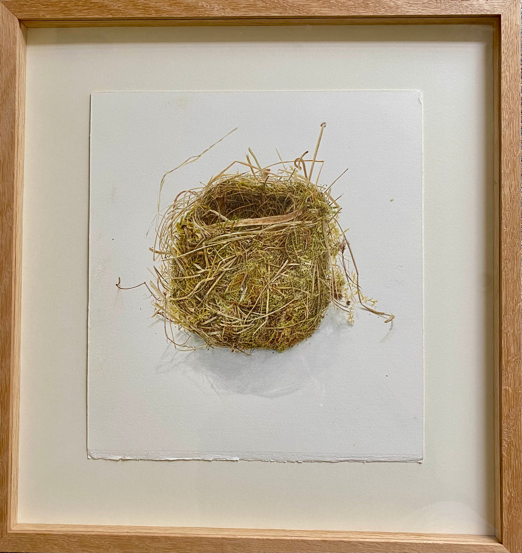 Nest my Neighbour Found