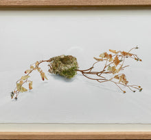 Load image into Gallery viewer, Nest Andie Found
