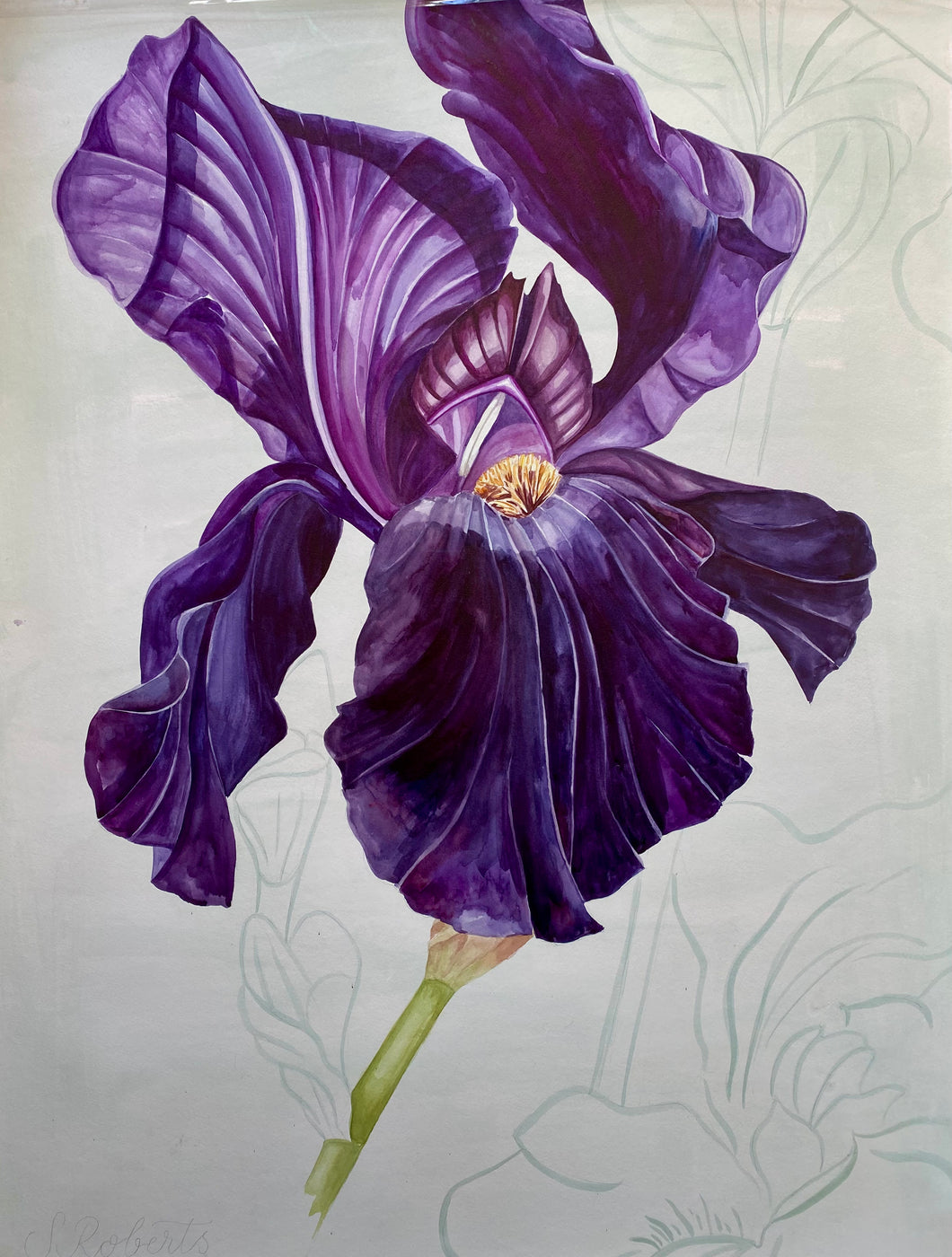 Iris Superstition I