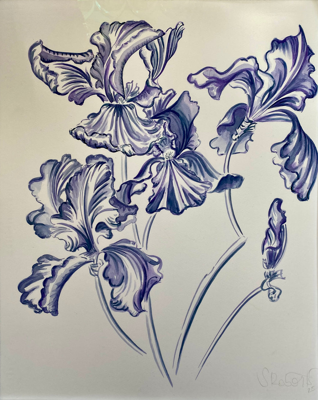 Iris Study I