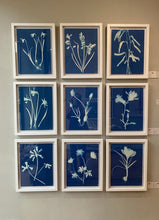 Load image into Gallery viewer, Bluebells I
