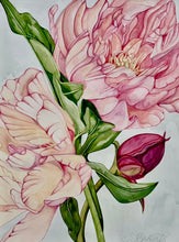 Load image into Gallery viewer, Peony in Full Bloom
