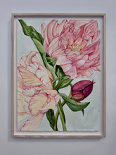 Load image into Gallery viewer, Peony in Full Bloom
