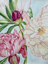 Load image into Gallery viewer, Peony in Full Bloom II
