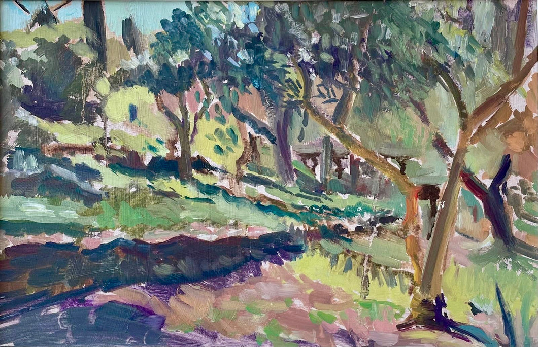 Blackbird in an Olive Grove