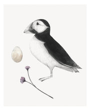 Load image into Gallery viewer, Puffin
