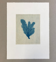Load image into Gallery viewer, Sea Fan I (Blue)
