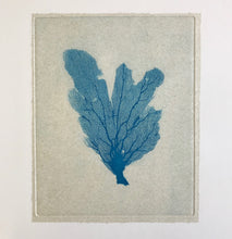 Load image into Gallery viewer, Sea Fan I (Blue)
