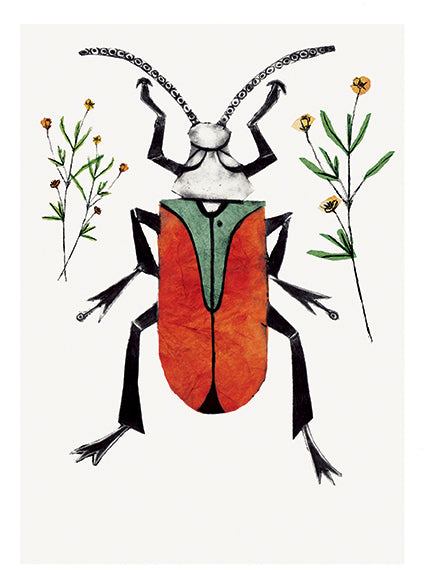 Scarlet Malachite Beetle