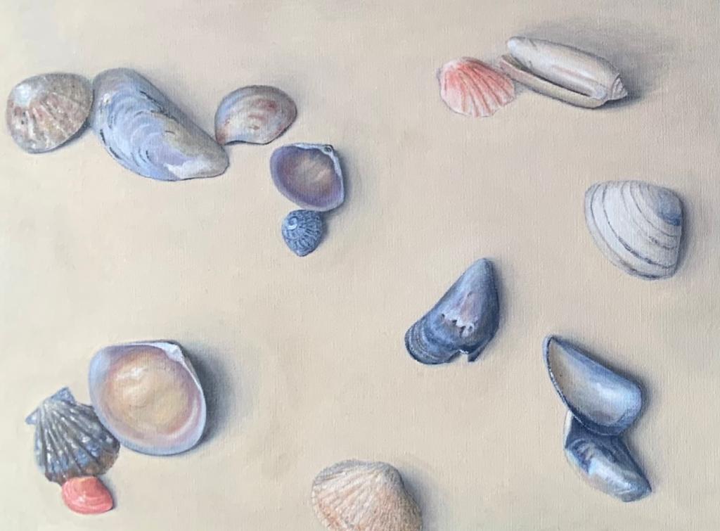 Collections of Shells II – Kate Preston Art