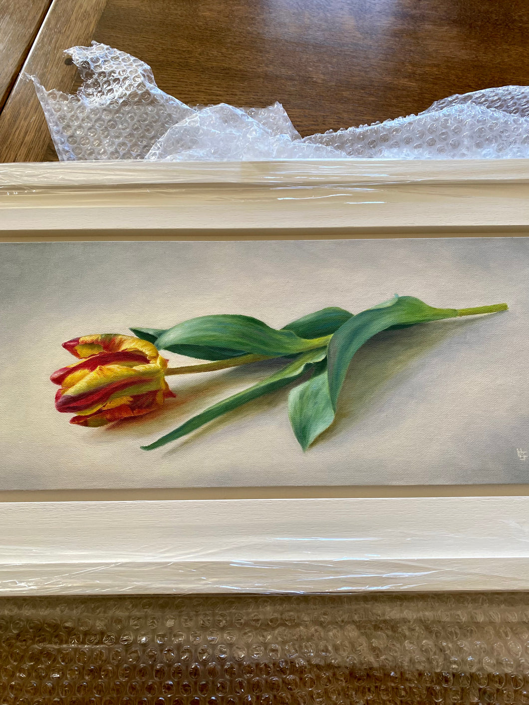 Parrot Tulip