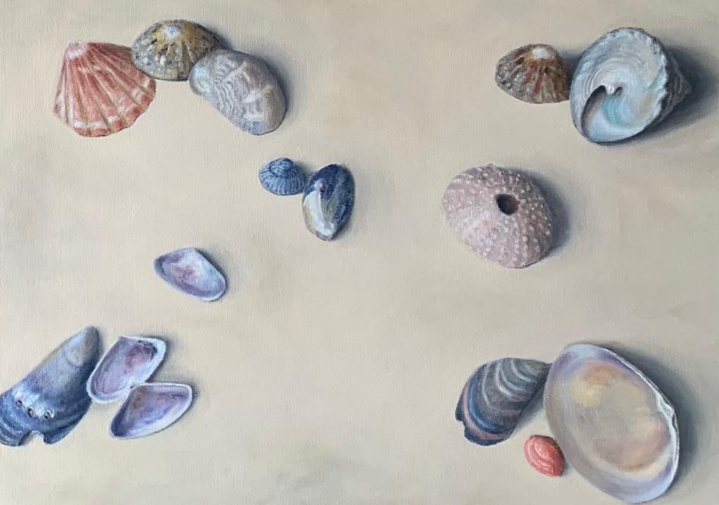 Collections of Shells I
