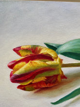 Load image into Gallery viewer, Parrot Tulip
