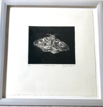 Load image into Gallery viewer, Emperor Moth
