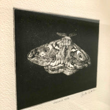 Load image into Gallery viewer, Emperor Moth
