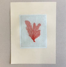 Load image into Gallery viewer, Sea Fan I (Red)
