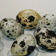 Load image into Gallery viewer, Quail eggs
