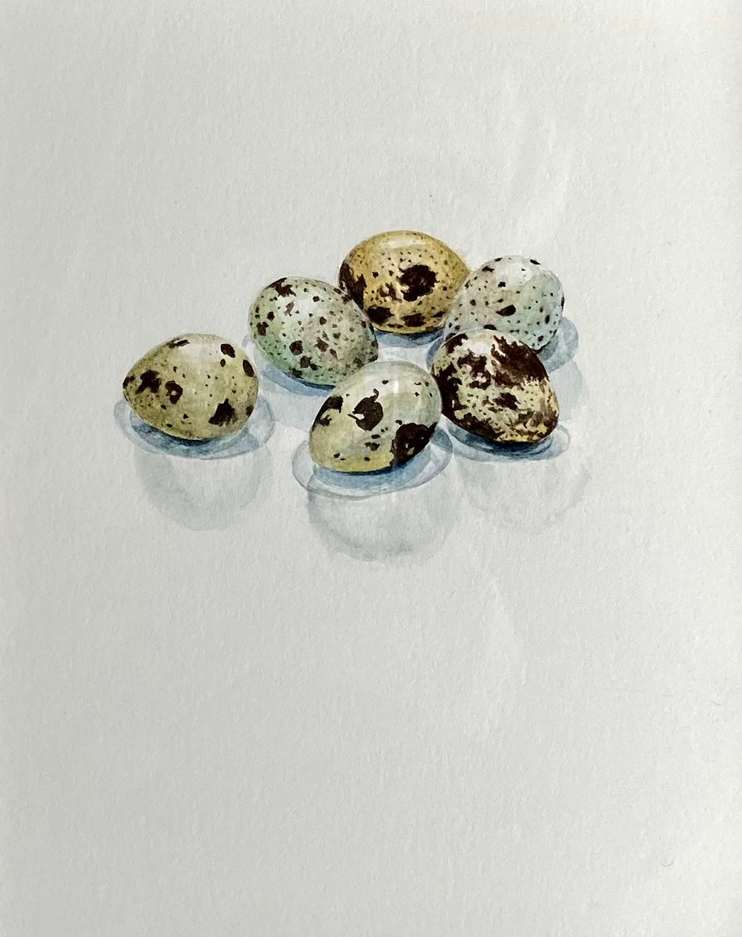 Quail eggs