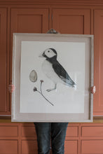Load image into Gallery viewer, Puffin
